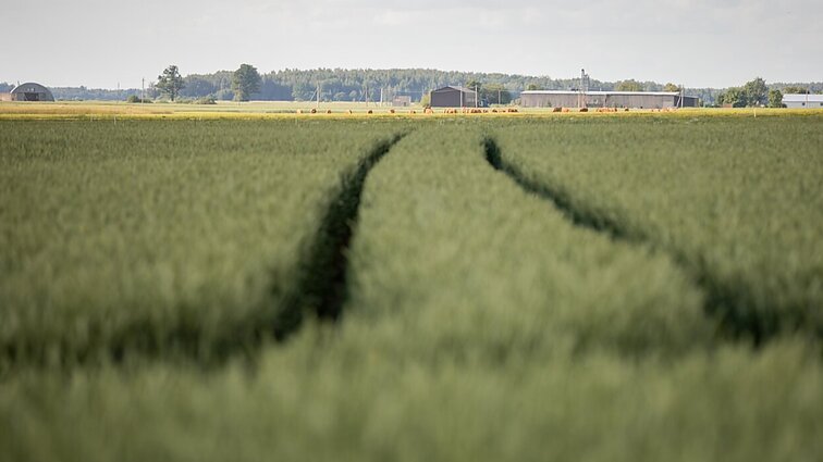 Trūksta lėšų melioracijos statiniams prižiūrėti: iniciatyvos priverstos imtis savivaldybės