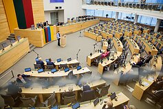 Nida Grunskienė. Statutinių pareigūnų diskusija Seime
