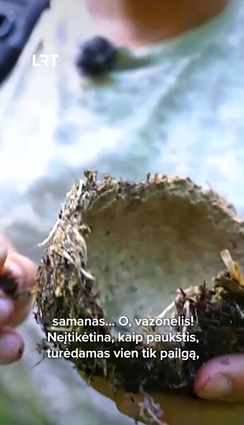 Remezų lizdais susižavėjęs Čepulis: fantastika