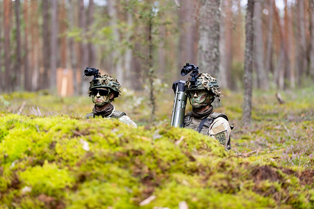 Seimas nusprendė: skubos tvarka steigiami kariniai poligonai Tauragės ir Šilalės rajonuose