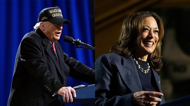 Žurnalistas iš JAV tikina – niekas dar nėra aišku: Harris lieka tik vienas kelias laimėti