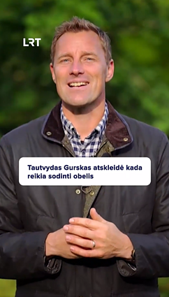 Ar galima sodinti obelis lapkričio mėnesį?