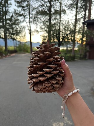 Agnės įspūdžiai iš kelionės po JAV