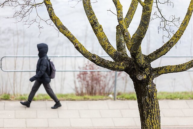 Nepamirškite vitamino D: pranašaujama, kad artimiausios dienos išliks darganotos ir vėsios