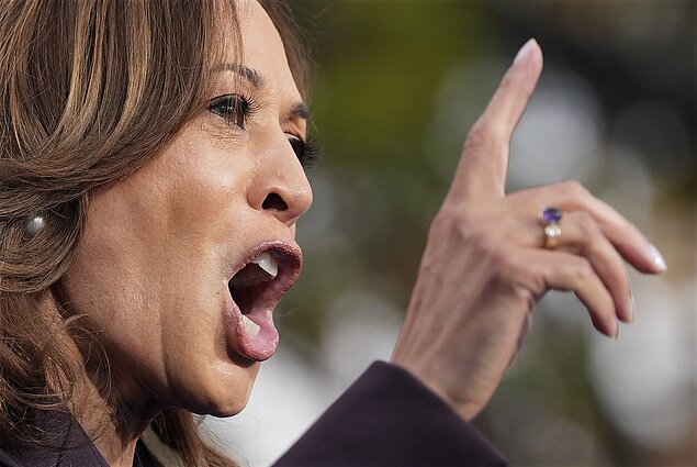 Harris pripažino pralaimėjimą Trumpui: rėmėjus paliko apsipylusius ašaromis