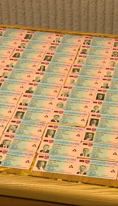 Kaip atrodo naujieji Seimo nario pažymėjimai?
