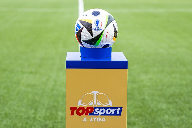 Paaiškėjo, kurie klubai lieka aukščiausiame Lietuvos futbolo divizione