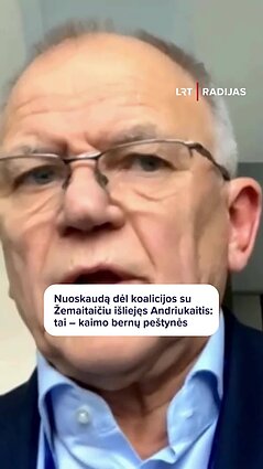 Andriukaitis apie koalicijos dėlionę: tai – kaimo bernų peštynės