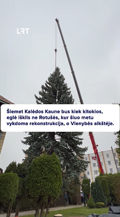 Kaune šventinę nuotaiką šiemet kurs gyventojos padovanota žaliaskarė