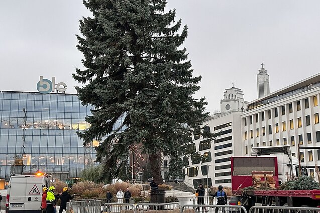 Kaunas ruošiasi Kalėdoms