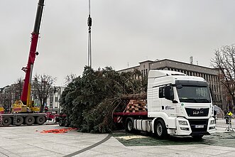 Kaunas ruošiasi Kalėdoms