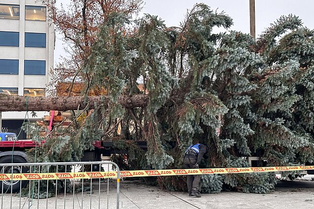 Kaunas ruošiasi Kalėdoms