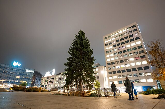 Kaunas ruošiasi Kalėdoms