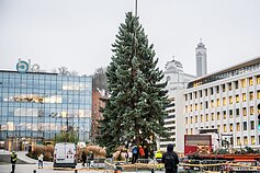 Kaunas ruošiasi Kalėdoms