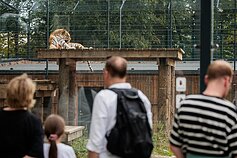 Kauno zoologijos sodas