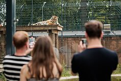 Kauno zoologijos sodas