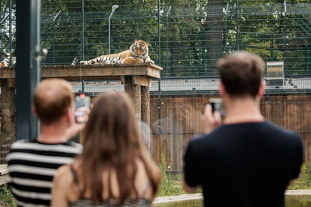 Kauno zoologijos sodas