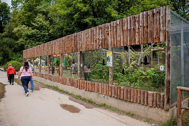 Litewski ogród zoologiczny w Kownie