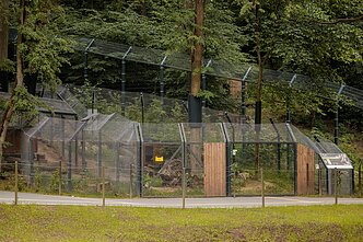 Litewski ogród zoologiczny w Kownie