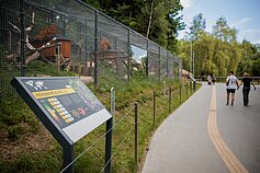 Litewski ogród zoologiczny w Kownie