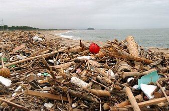 Plastiko šiukšlės paplūdymiuose