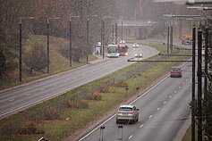 Sniegas Vilniuje