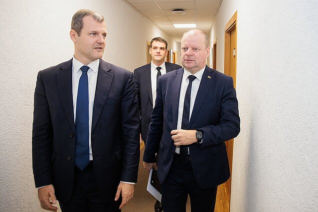 Skvernelis: baimės, kad dalis LSDP Seimo narių gali nebalsuoti už Palucką, yra nepagrįstos