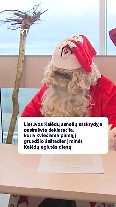 Ar minėsite Kalėdų eglutės dieną?