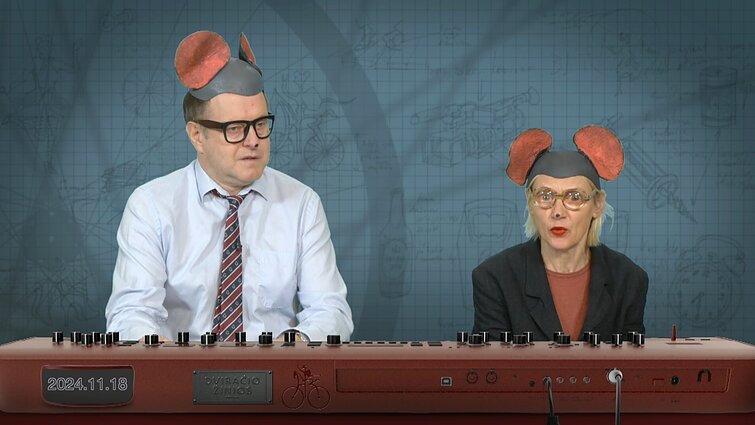 Peliukai apie atmintinas dienas Lietuvoje: kodėl vis dar yra likę 270 neatmintinų dienų?