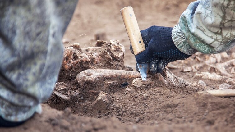 Ne visi ieškotojai yra sąžiningi: nepristato rastų archeologinių radinių specialistams