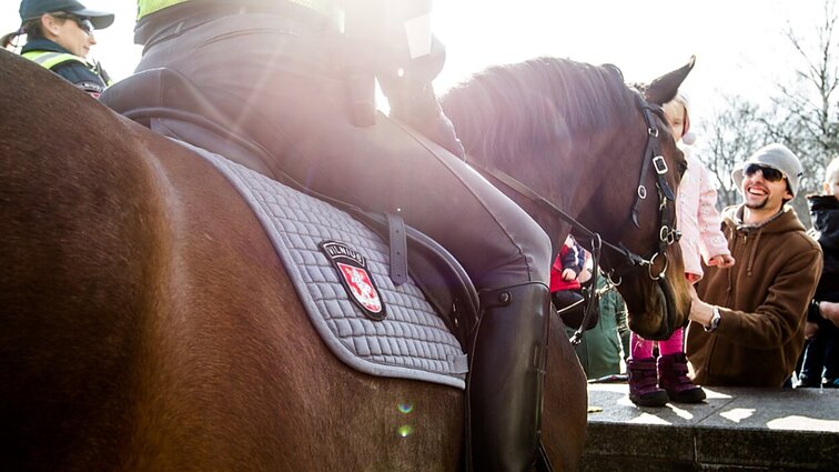 Gyvūnų globėja apie policijos žirgus aukcionuose: neįgalius turbūt išpirks mėsininkai