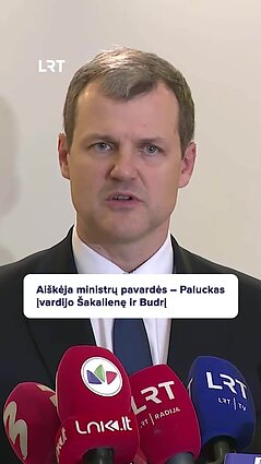 Paluckas su Nausėda aptarė ministrų kabineto sudėtį