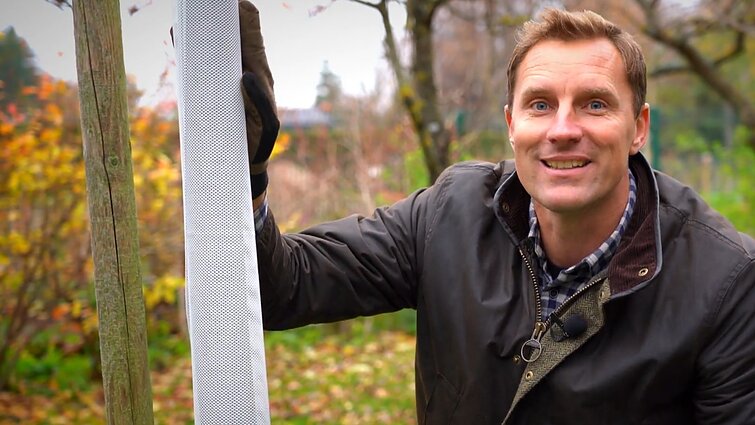 Sodininko kalendorinis darbas: kaip efektyviai apsaugoti sodą nuo gyvūnų?