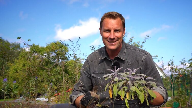 Sodybos pradžiamokslis: gėlyno sodinimas