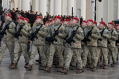 Міністр оборони України Рустем Умєров зустрівся з міністром оборони Литви Лаурінасом Кащюнасом, президентом Литви Гітанасом Науседою і взяв участь в урочистостях до Дня Збройних сил Литви