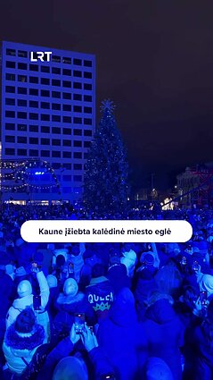 Kauno kalėdinė miesto eglė paskelbė švenčių laukimo pradžią visoje Lietuvoje