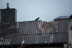 Vilniuje nukrito krovininis lėktuvas