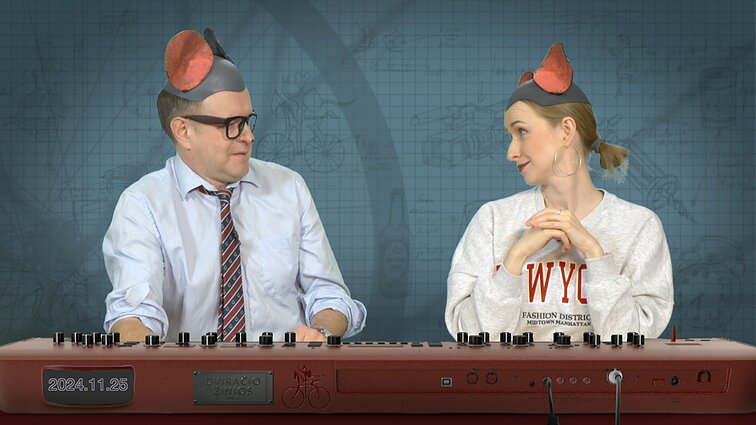 Peliukai apie Lietuvos pilietybės suteikimą sportininkams: reikia skelbti konkursą?