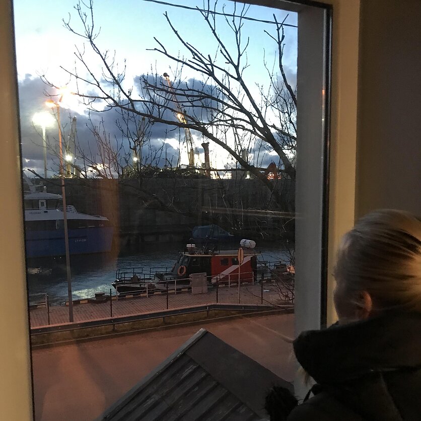 Inga Janiulytė-Temporin, Smeltės kvartalo gyventoja pro langą žiūri į uoste kraunamą metalo laužą