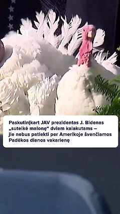 Kalakutų likimas Bideno rankose: ar bus patiekti Padėkos dieną?