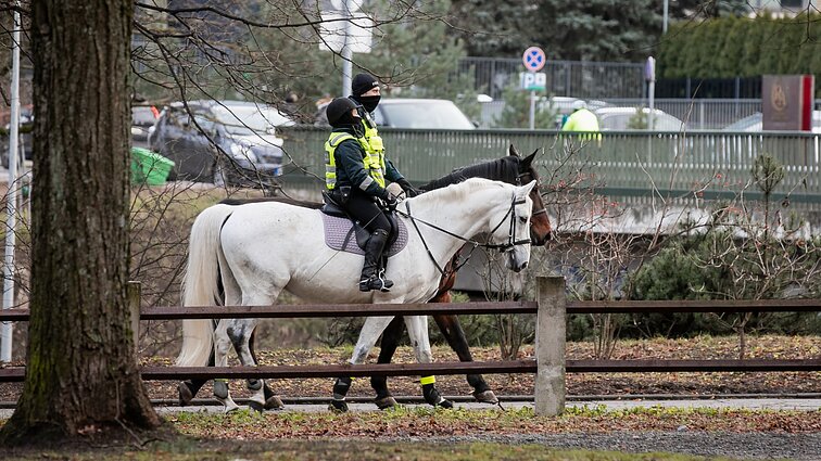 Vasarą neigė, bet persigalvojo: Vilniuje neliks raitosios policijos, žirgai – jau aukcione