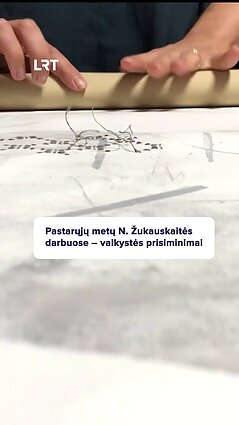 Kaip N. Žukauskaitė sugalvojo siuvinėti ant drobės?