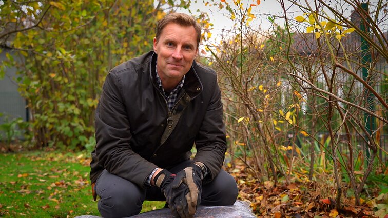 Kalendorinis darbas: nukritę lapai – turtas ar grėsmė? Gursko patarimai rudens darbams