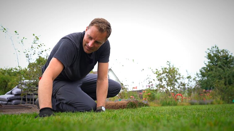 Sodybos pradžiamokslis: tobula veja per dieną? Atraskite ruloninės vejos įrengimo paslaptį