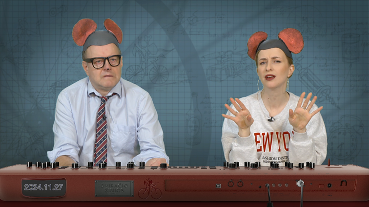 Peliukai apie kalėdinių eglučių kovas: prilygsta Seimo rinkimams?