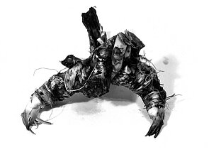 „Darbininkas dusintojas“. Iš ciklo „Požemių paukščiai. Bestiariumas“. 