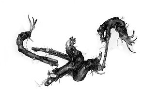 „Portfelinis skrajukas, arba Omnia vana“. Iš ciklo „Požemių paukščiai. Bestiariumas“. 