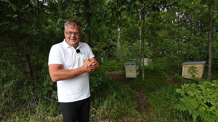 Bičių avilius miške laikantis miškininkas Egidijus: medaus skonis gaunasi ypatingas