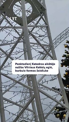 Jau šiandien Vilniuje bus įžiebta Kalėdų eglutė! Ar laukiate?