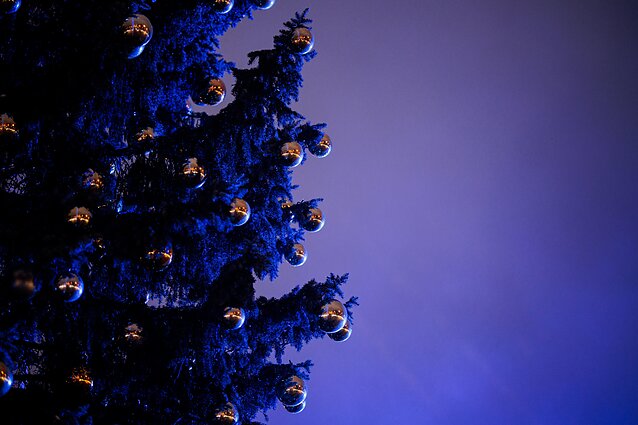 Vilnius Christmas Tree